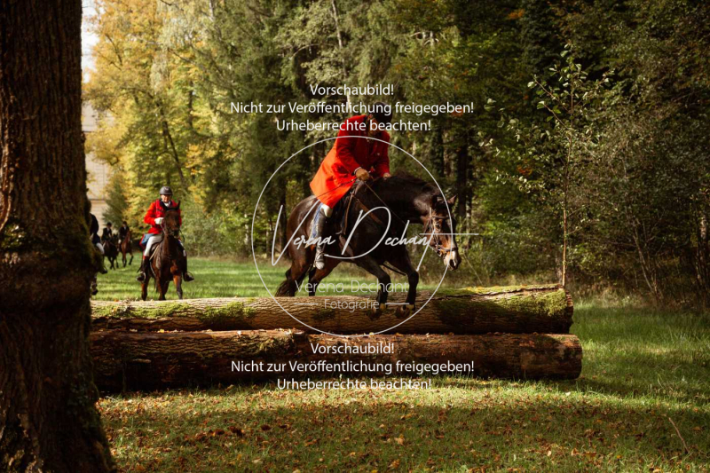 Schleppjagd_Herrenchiemsee-587 Schleppjagd_Herrenchiemsee-587