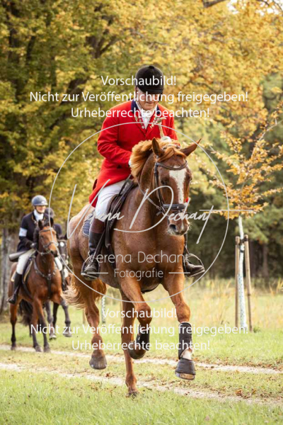 Schleppjagd_Herrenchiemsee-589 Schleppjagd_Herrenchiemsee-589