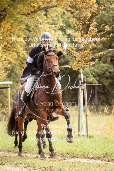 Schleppjagd_Herrenchiemsee-590 Schleppjagd_Herrenchiemsee-590