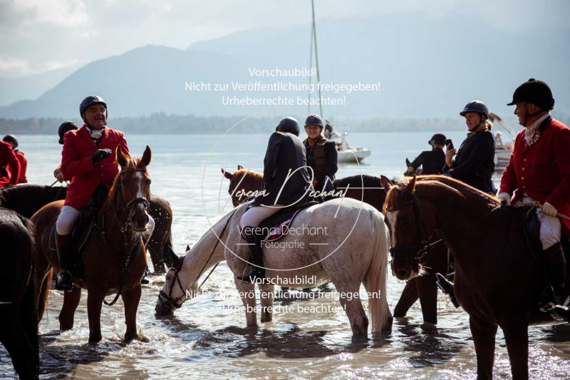 Schleppjagd_Herrenchiemsee-598-2 Schleppjagd_Herrenchiemsee-598-2