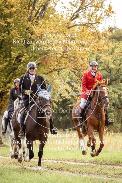 Schleppjagd_Herrenchiemsee-598 Schleppjagd_Herrenchiemsee-598