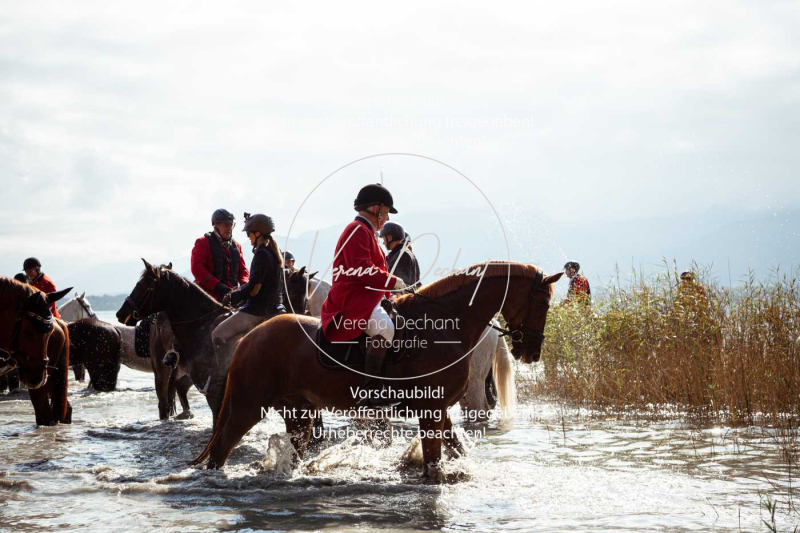 Schleppjagd_Herrenchiemsee-599 Schleppjagd_Herrenchiemsee-599