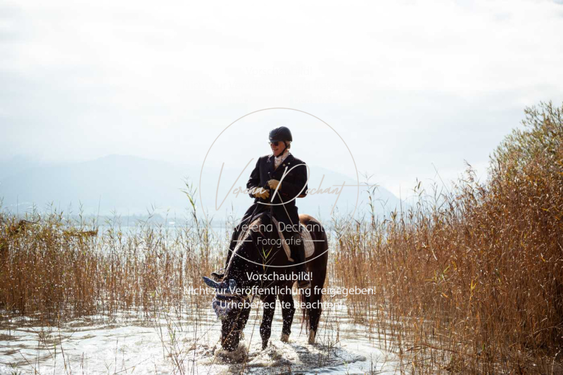 Schleppjagd_Herrenchiemsee-600-2 Schleppjagd_Herrenchiemsee-600-2