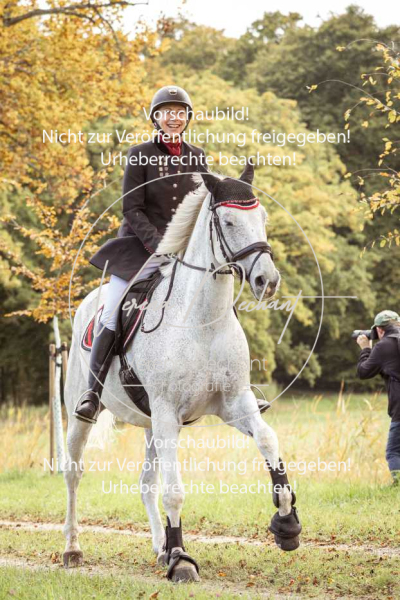 Schleppjagd_Herrenchiemsee-601 Schleppjagd_Herrenchiemsee-601