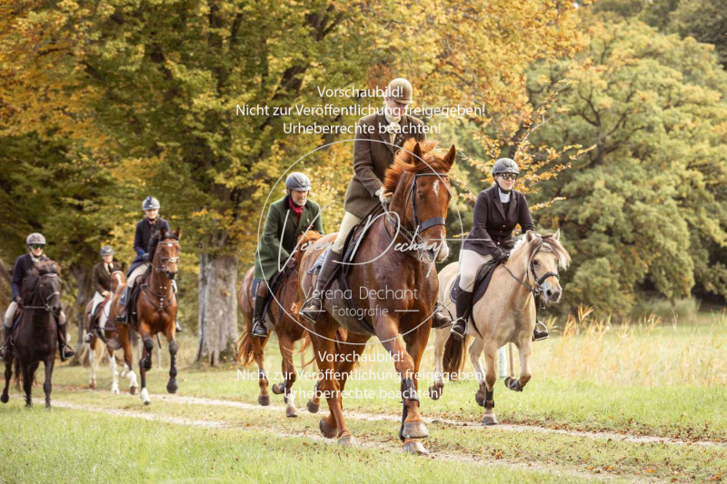 Schleppjagd_Herrenchiemsee-604 Schleppjagd_Herrenchiemsee-604