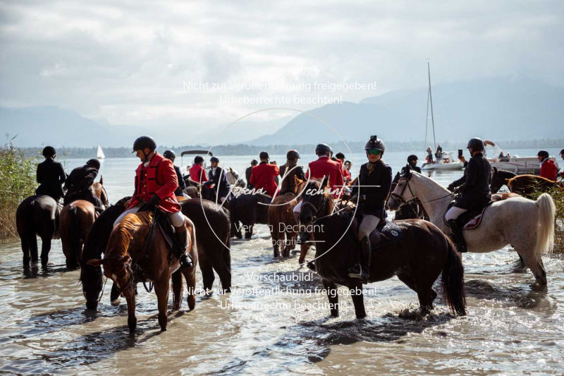 Schleppjagd_Herrenchiemsee-605 Schleppjagd_Herrenchiemsee-605