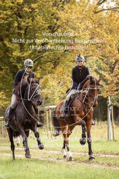 Schleppjagd_Herrenchiemsee-608 Schleppjagd_Herrenchiemsee-608