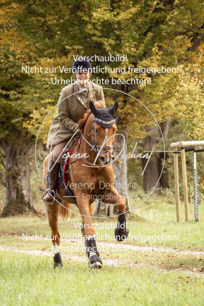 Schleppjagd_Herrenchiemsee-610 Schleppjagd_Herrenchiemsee-610