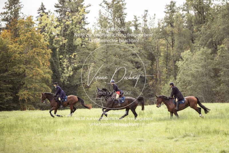 Schleppjagd_Herrenchiemsee-614 Schleppjagd_Herrenchiemsee-614