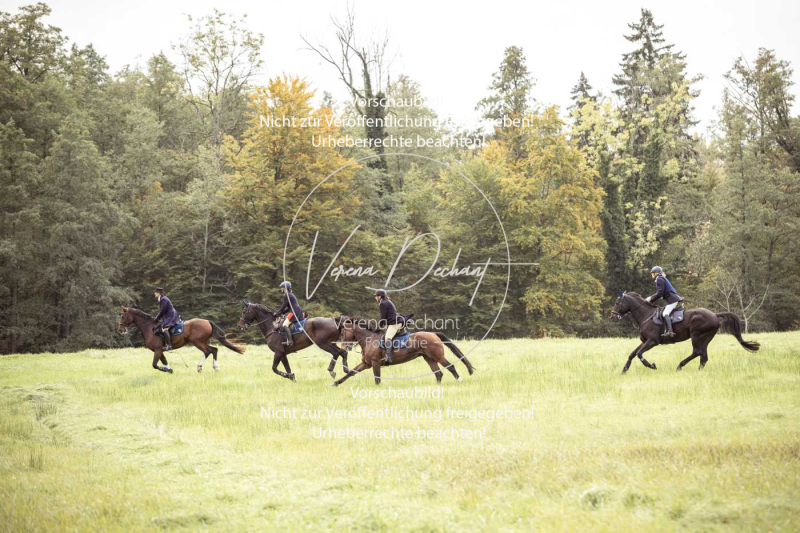 Schleppjagd_Herrenchiemsee-616 Schleppjagd_Herrenchiemsee-616