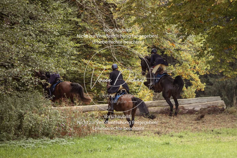 Schleppjagd_Herrenchiemsee-620 Schleppjagd_Herrenchiemsee-620