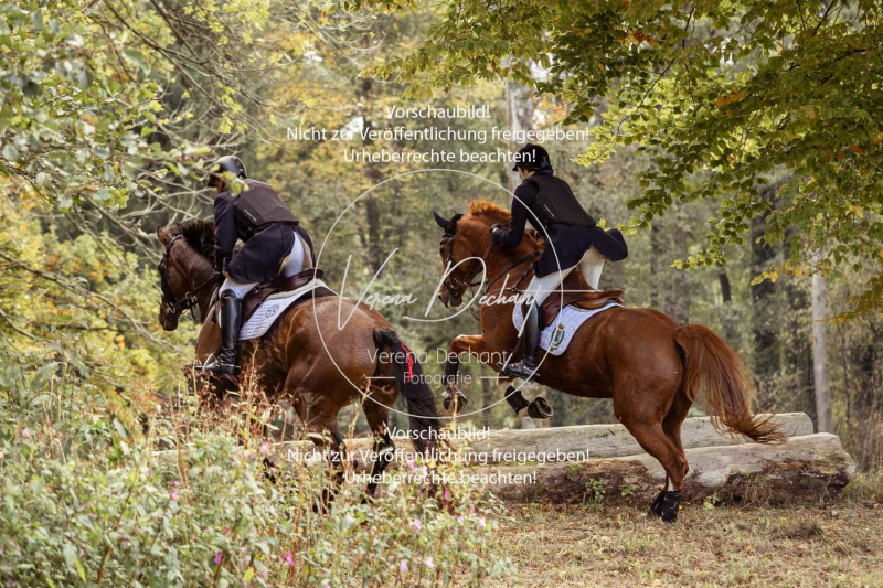 Schleppjagd_Herrenchiemsee-623 Schleppjagd_Herrenchiemsee-623