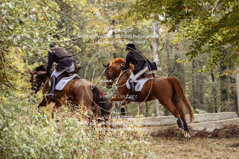 Schleppjagd_Herrenchiemsee-624 Schleppjagd_Herrenchiemsee-624