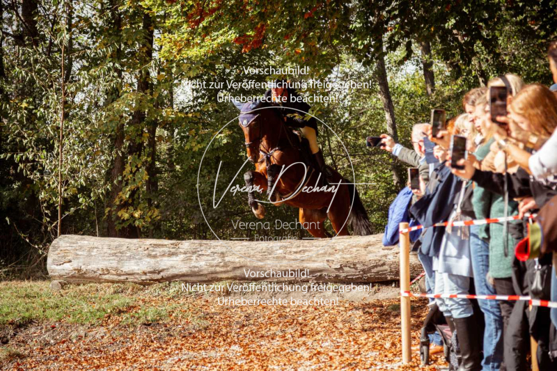 Schleppjagd_Herrenchiemsee-625 Schleppjagd_Herrenchiemsee-625