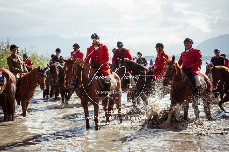Schleppjagd_Herrenchiemsee-630 Schleppjagd_Herrenchiemsee-630