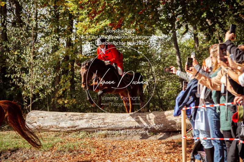 Schleppjagd_Herrenchiemsee-635 Schleppjagd_Herrenchiemsee-635