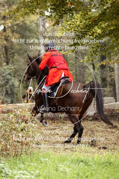 Schleppjagd_Herrenchiemsee-636 Schleppjagd_Herrenchiemsee-636