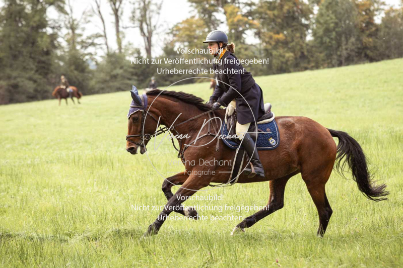 Schleppjagd_Herrenchiemsee-637 Schleppjagd_Herrenchiemsee-637