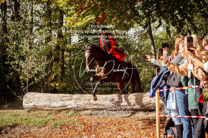 Schleppjagd_Herrenchiemsee-640-2 Schleppjagd_Herrenchiemsee-640-2