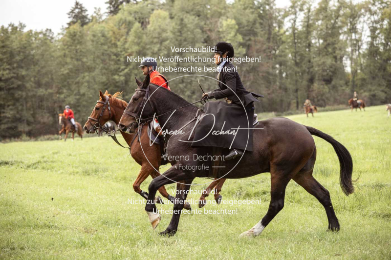 Schleppjagd_Herrenchiemsee-640 Schleppjagd_Herrenchiemsee-640