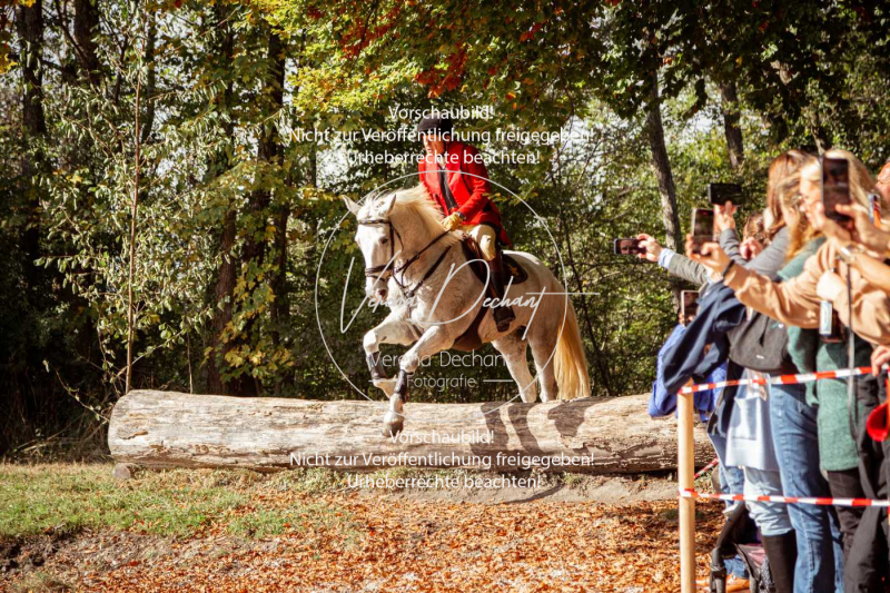 Schleppjagd_Herrenchiemsee-641 Schleppjagd_Herrenchiemsee-641