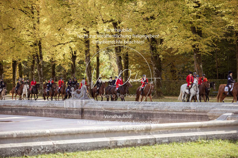 Schleppjagd_Herrenchiemsee-657 Schleppjagd_Herrenchiemsee-657