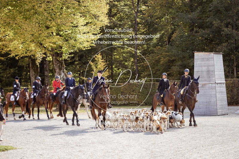 Schleppjagd_Herrenchiemsee-660 Schleppjagd_Herrenchiemsee-660