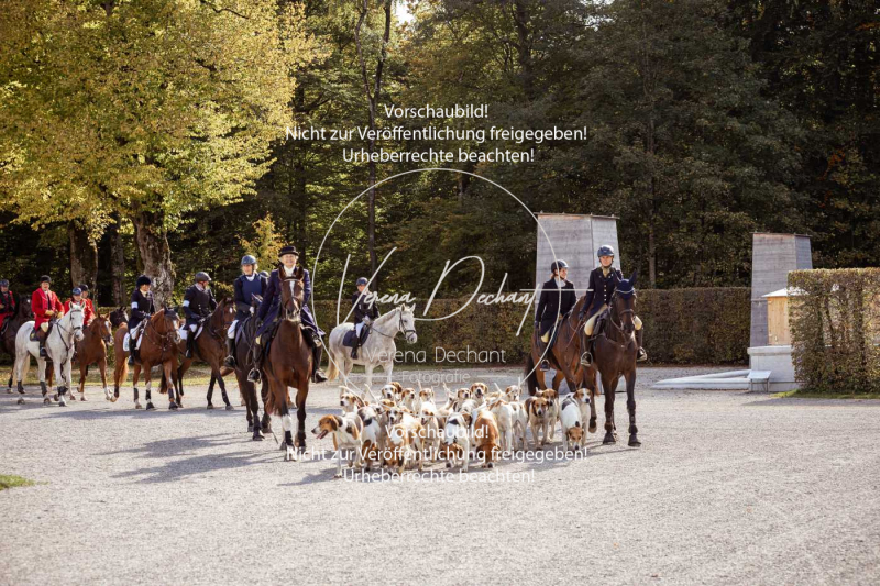 Schleppjagd_Herrenchiemsee-662 Schleppjagd_Herrenchiemsee-662