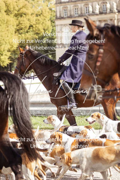 Schleppjagd_Herrenchiemsee-663 Schleppjagd_Herrenchiemsee-663