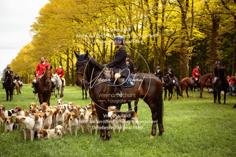 Schleppjagd_Herrenchiemsee-673-2 Schleppjagd_Herrenchiemsee-673-2