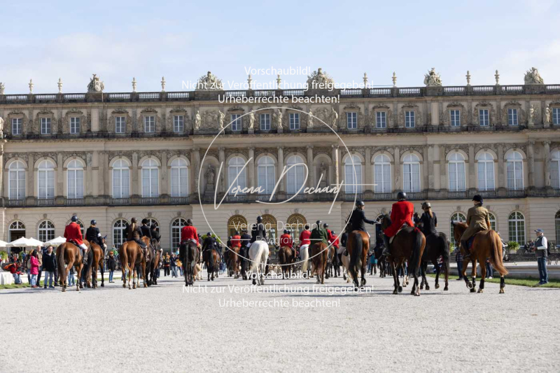 Schleppjagd_Herrenchiemsee-673 Schleppjagd_Herrenchiemsee-673