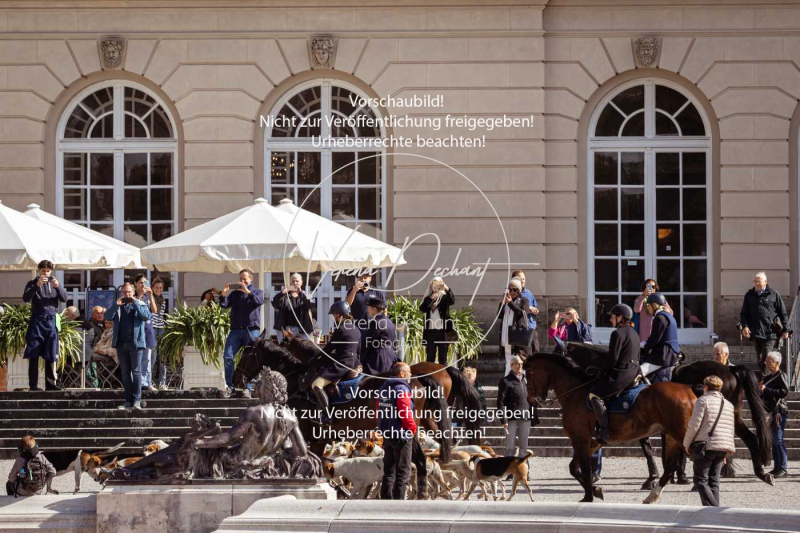 Schleppjagd_Herrenchiemsee-677 Schleppjagd_Herrenchiemsee-677