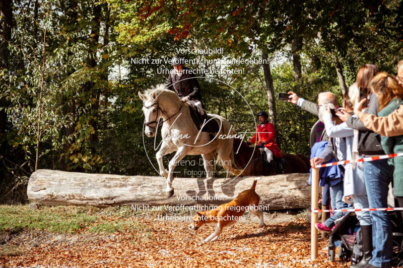 Schleppjagd_Herrenchiemsee-693 Schleppjagd_Herrenchiemsee-693