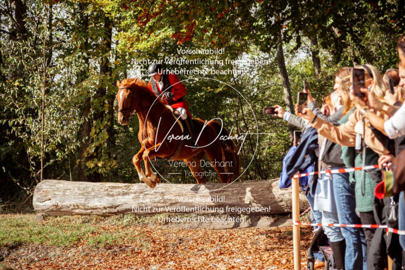 Schleppjagd_Herrenchiemsee-695-2 Schleppjagd_Herrenchiemsee-695-2