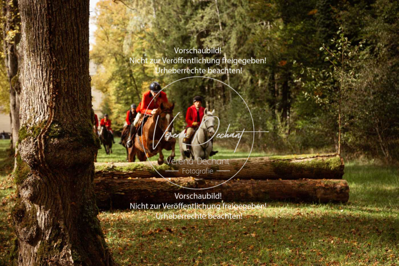 Schleppjagd_Herrenchiemsee-698 Schleppjagd_Herrenchiemsee-698