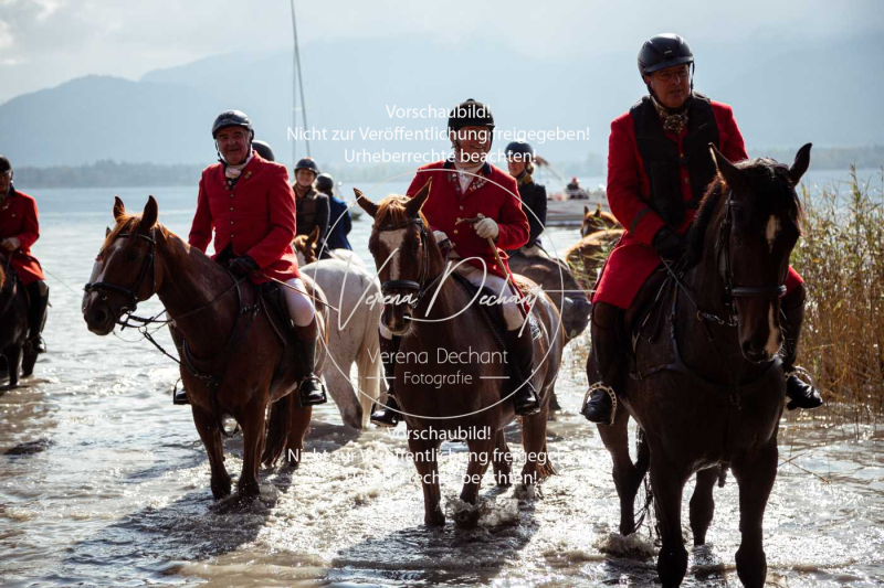 Schleppjagd_Herrenchiemsee-701-2 Schleppjagd_Herrenchiemsee-701-2