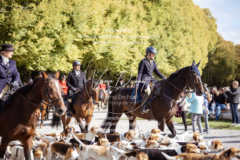 Schleppjagd_Herrenchiemsee-701 Schleppjagd_Herrenchiemsee-701