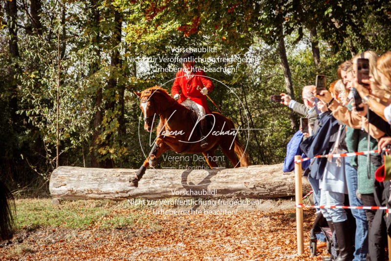 Schleppjagd_Herrenchiemsee-712 Schleppjagd_Herrenchiemsee-712