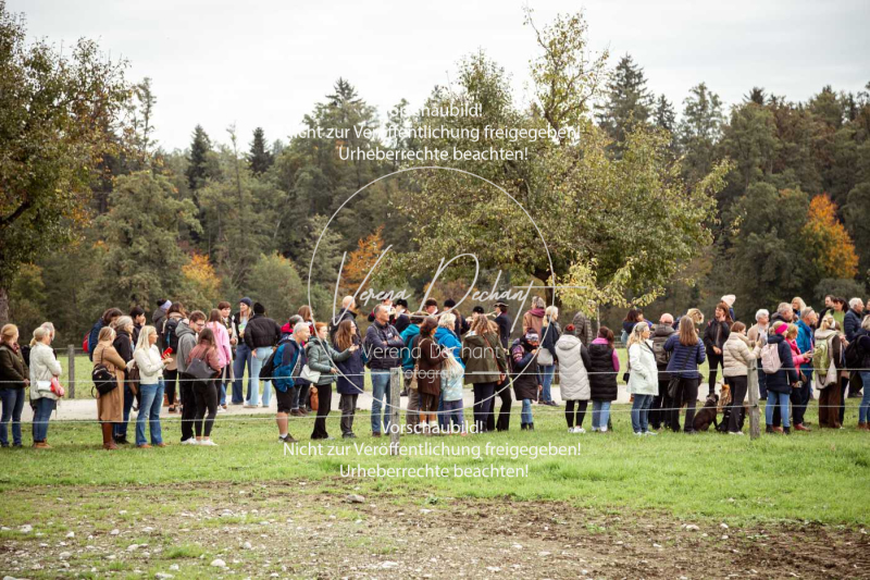 Schleppjagd_Herrenchiemsee-714 Schleppjagd_Herrenchiemsee-714