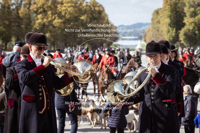 Schleppjagd_Herrenchiemsee-731 Schleppjagd_Herrenchiemsee-731