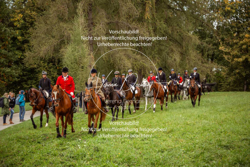 Schleppjagd_Herrenchiemsee-735 Schleppjagd_Herrenchiemsee-735