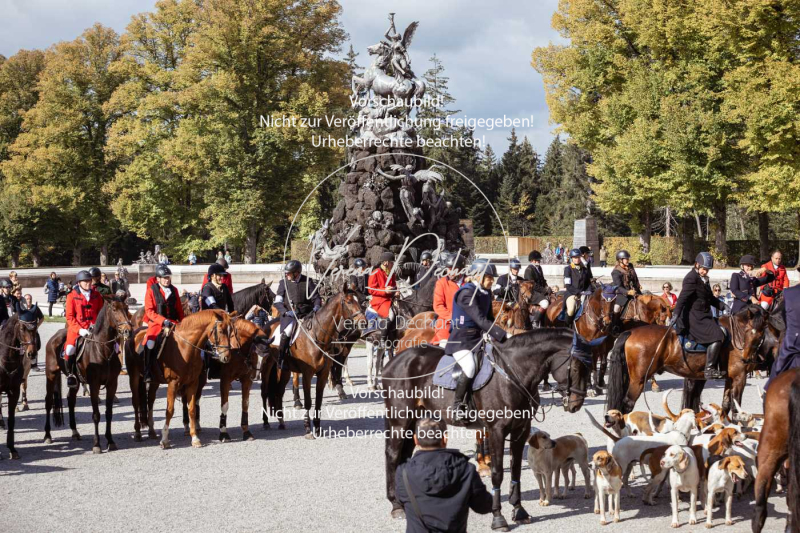 Schleppjagd_Herrenchiemsee-737 Schleppjagd_Herrenchiemsee-737