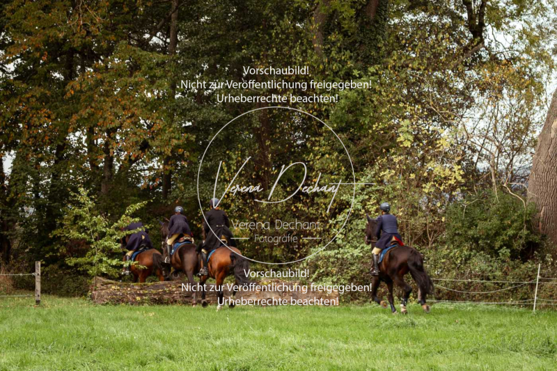 Schleppjagd_Herrenchiemsee-748 Schleppjagd_Herrenchiemsee-748