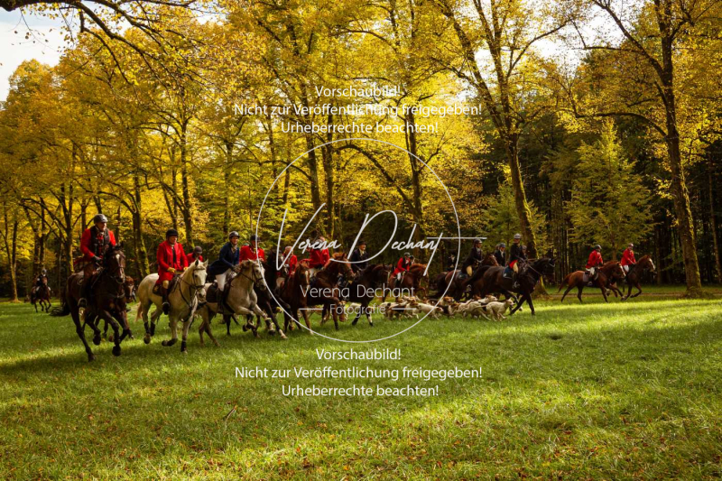 Schleppjagd_Herrenchiemsee-758 Schleppjagd_Herrenchiemsee-758