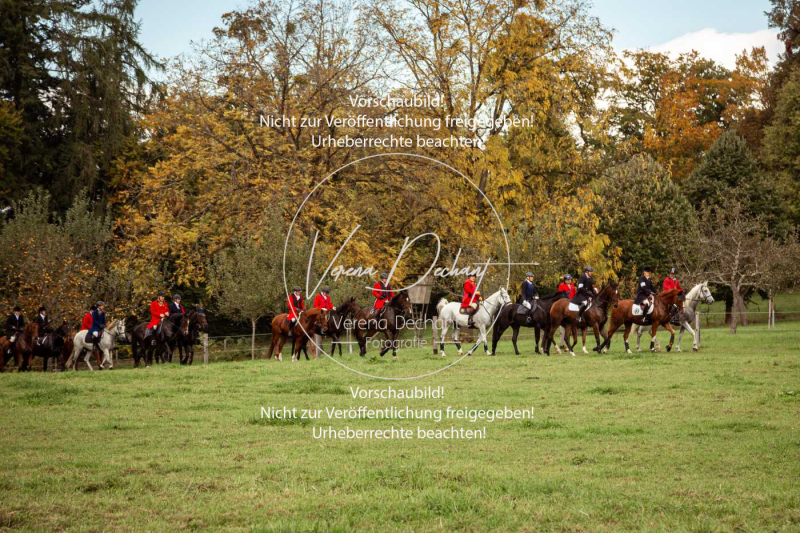 Schleppjagd_Herrenchiemsee-760 Schleppjagd_Herrenchiemsee-760