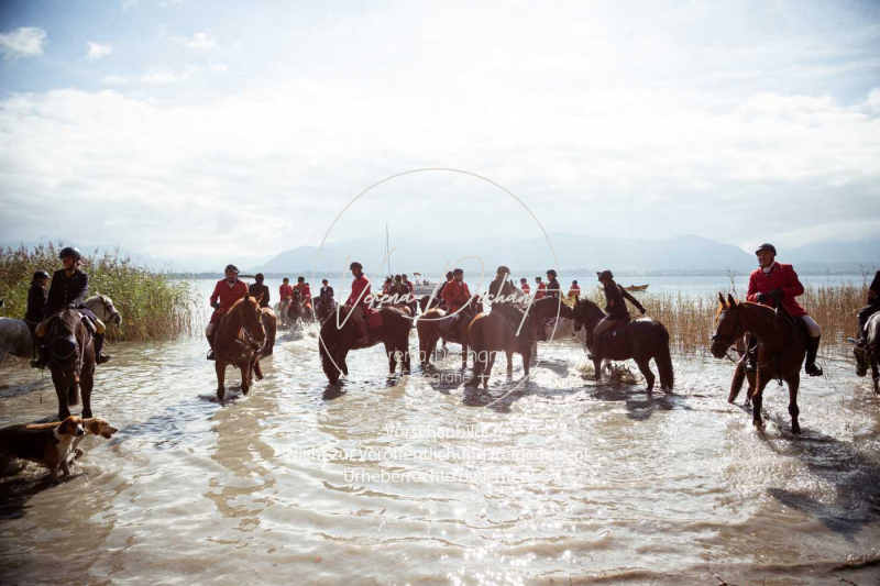 Schleppjagd_Herrenchiemsee-762 Schleppjagd_Herrenchiemsee-762
