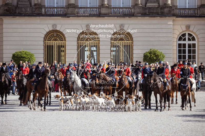 Schleppjagd_Herrenchiemsee-766 Schleppjagd_Herrenchiemsee-766