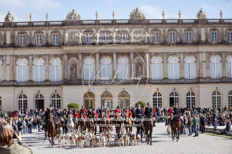 Schleppjagd_Herrenchiemsee-768 Schleppjagd_Herrenchiemsee-768