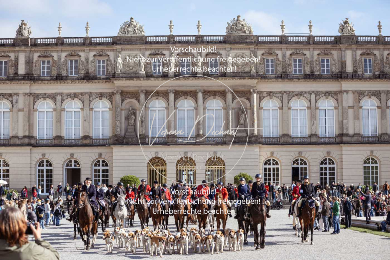 Schleppjagd_Herrenchiemsee-769 Schleppjagd_Herrenchiemsee-769