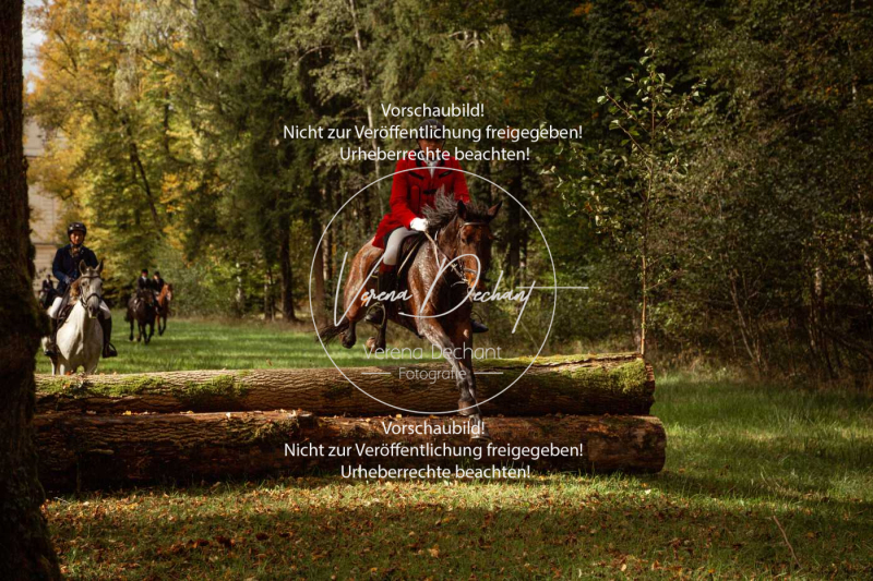 Schleppjagd_Herrenchiemsee-774-2 Schleppjagd_Herrenchiemsee-774-2